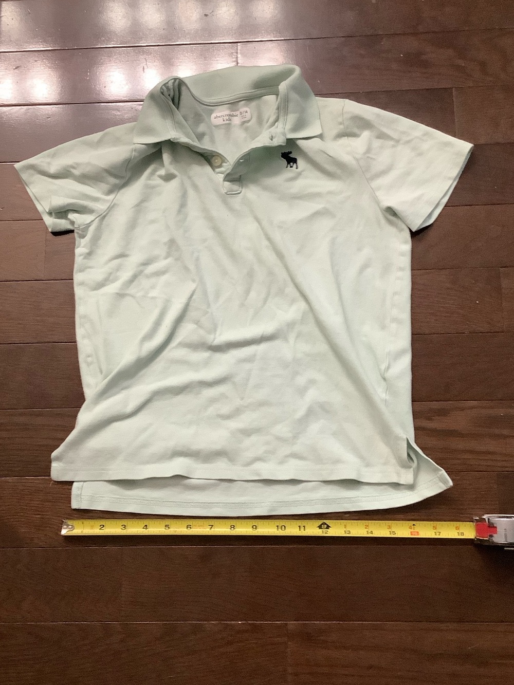 abercrombie kids Mint Green Polo Shirt with Navy Logo